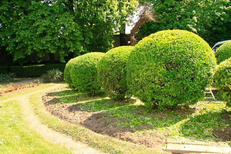 Création de jardin Paris