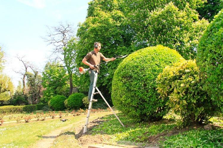 Savoir-faire